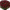 Хризантема мультифлора Sicardo Red (15)
