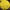 Хризантема мультифлора Branfountain Yellow (Бранфонтан еллоу)