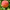 Персик Флеминг Фьюри PF 15A