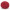 Хризантема мультифлора Boda Red (19)