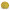 Хризантема мультифлора Jasoda Dark Yellow