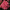 Гортензия крупнолистная Silky Pink, Силки Пинк