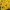 Хризантема мультифлора Padre Yellow (4)